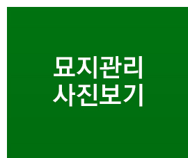 묘지관리사진보기